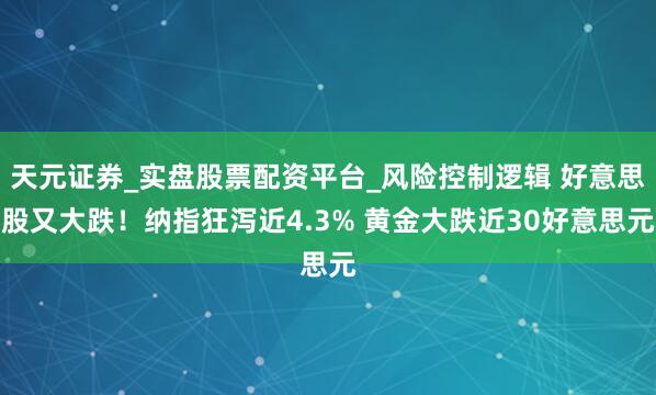 天元证券_实盘股票配资平台_风险控制逻辑 好意思股又大跌！纳指狂泻近4.3% 黄金大跌近30好意思元