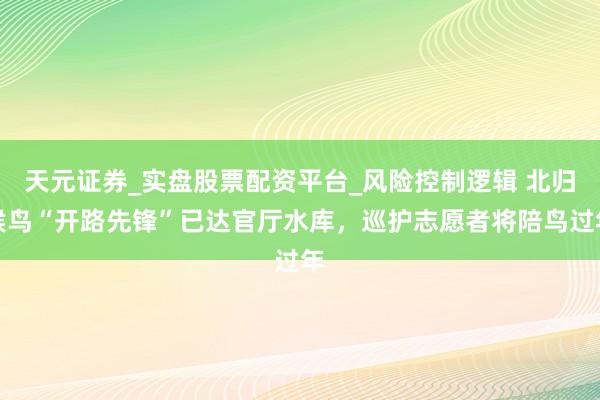 天元证券_实盘股票配资平台_风险控制逻辑 北归候鸟“开路先锋”已达官厅水库，巡护志愿者将陪鸟过年