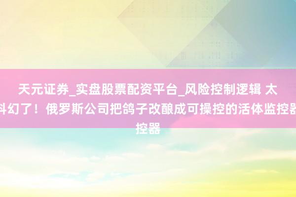 天元证券_实盘股票配资平台_风险控制逻辑 太科幻了！俄罗斯公司把鸽子改酿成可操控的活体监控器
